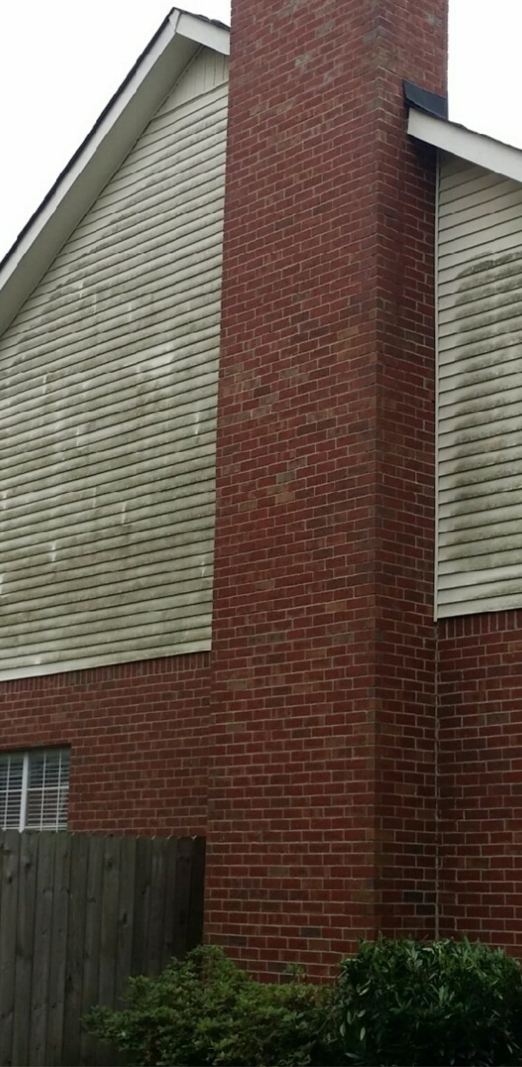 Brick and siding wall before soft washing, streaked with green algae