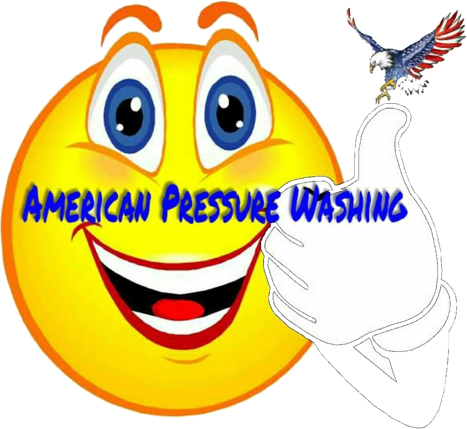 American Pressure Washing mascot